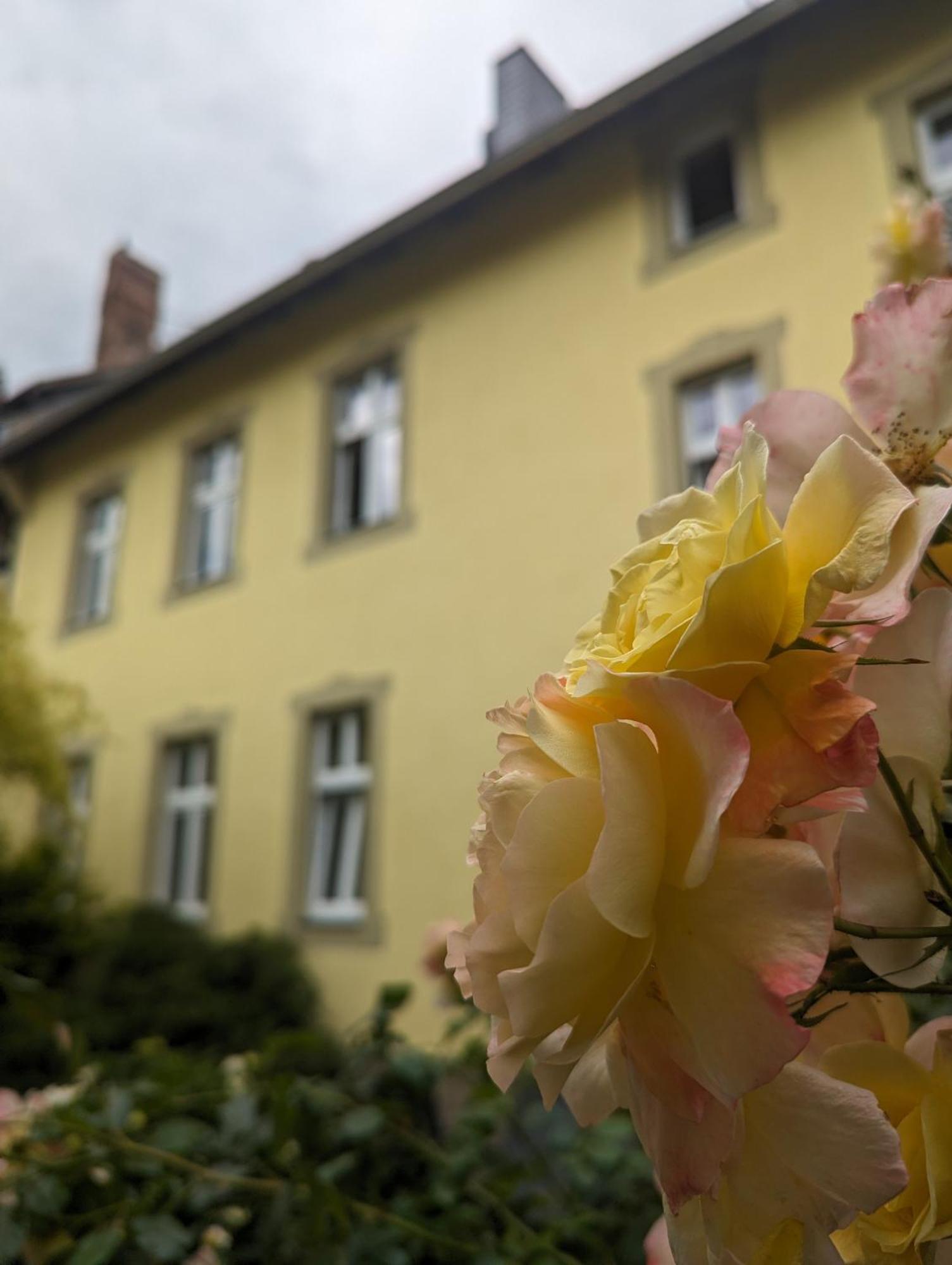Atelier Wolkenschloss Wernigerode Ngoại thất bức ảnh